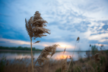 Similar image 20058785