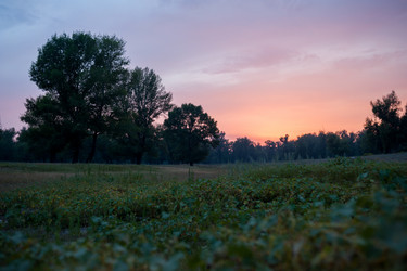 Similar image 20058734