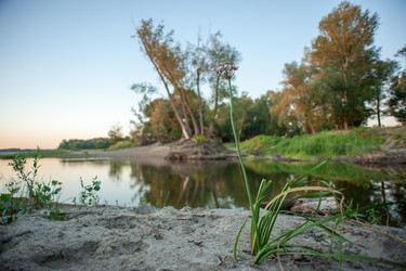 Similar image 20058736