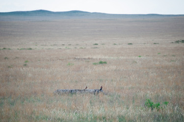 Similar image 20058767