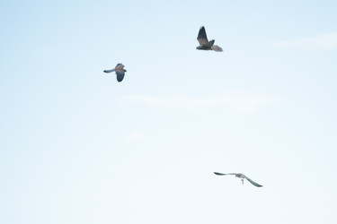 Similar image 20058768