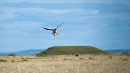 Similar image 20058770