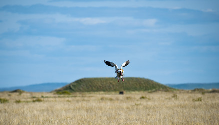 Similar image 20058771