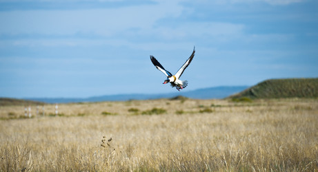 Similar image 20058772