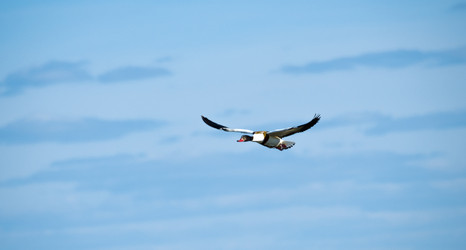 Similar image 20058773