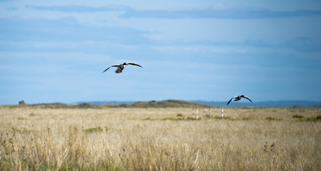 Similar image 20058780