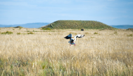 Similar image 20058789