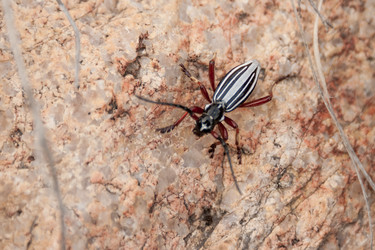 Similar image 20058791