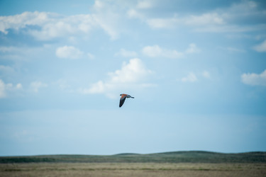 Similar image 20058807