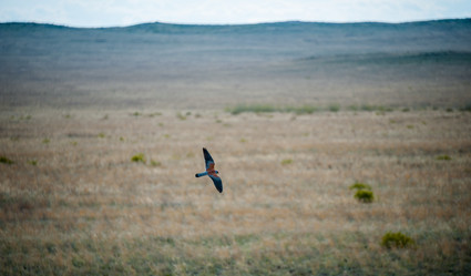 Similar image 20058745