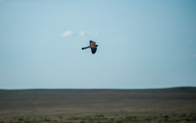 Similar image 20058746