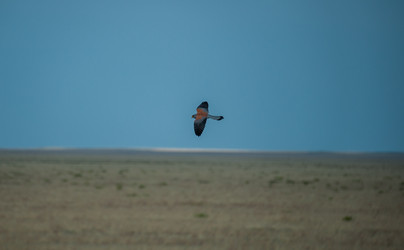 Similar image 20058748