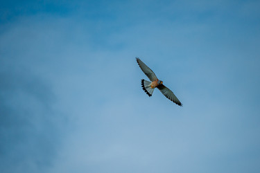 Similar image 20058750