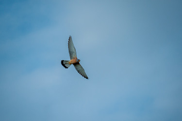 Similar image 20058751