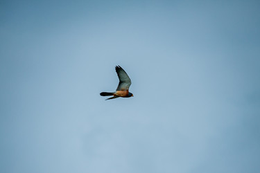 Similar image 20058752