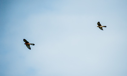 Similar image 20058753