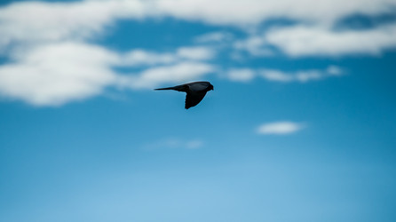 Similar image 20058754