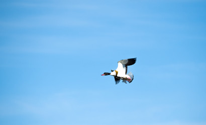 Similar image 20058755