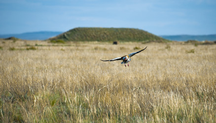 Similar image 20058756