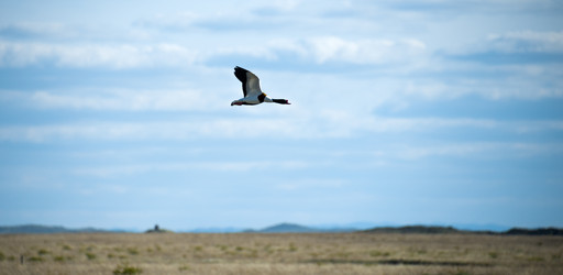 Similar image 20058757