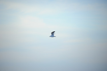 Similar image 20058758