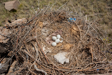 Similar image 20058788