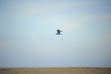 Similar image 20058792