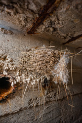 Similar image 20058808