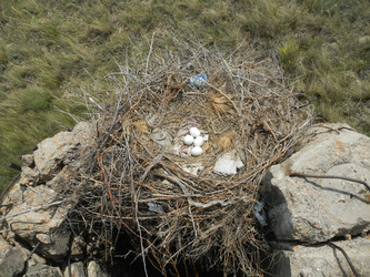 Similar image 20058814