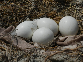 Similar image 20058817