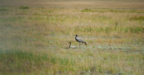 Similar image 20058697