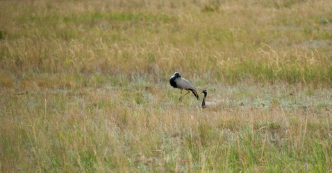 Similar image 20058698