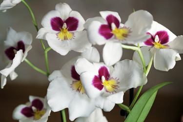 Similar image 20166266