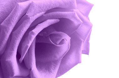 Similar image 20166268