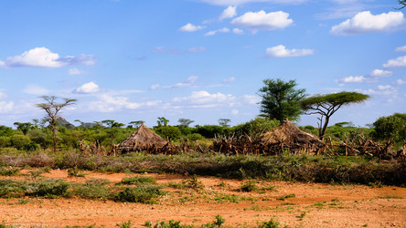 Similar image 20114114