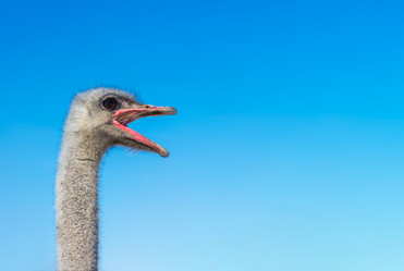 Similar image 20058043