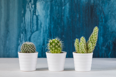 Similar image 19944623