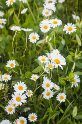 Similar image 19944659