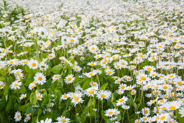 Similar image 19944662