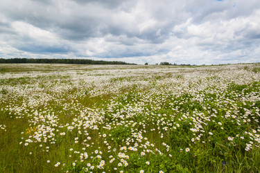 Similar image 19944669