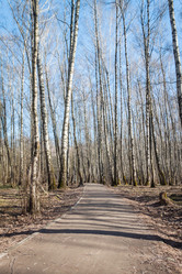 Similar image 19944670