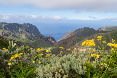 Similar image 20121302