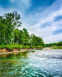 Similar image 20107498