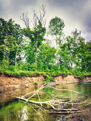 Similar image 20107512