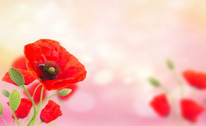 Similar image 20070709