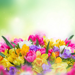 Similar image 20070710