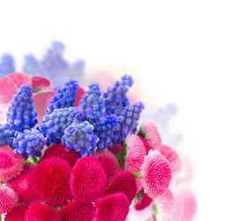 Similar image 20070712