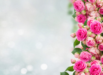 Similar image 20070713