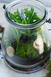 Similar image 20070717