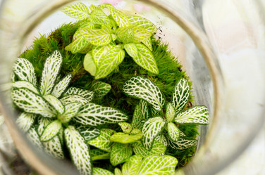 Similar image 20070718